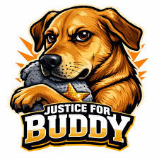 Buddy aus Pirmasens – Bild 4